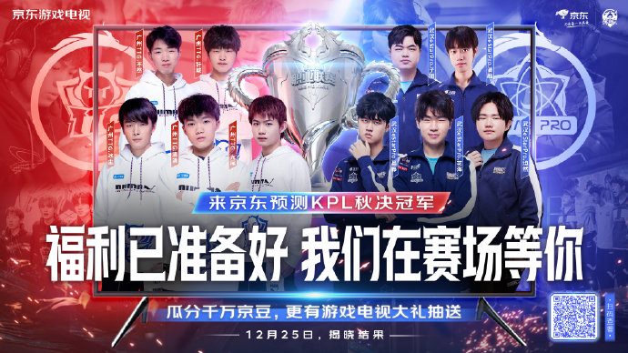 球队的整体 球队的整体