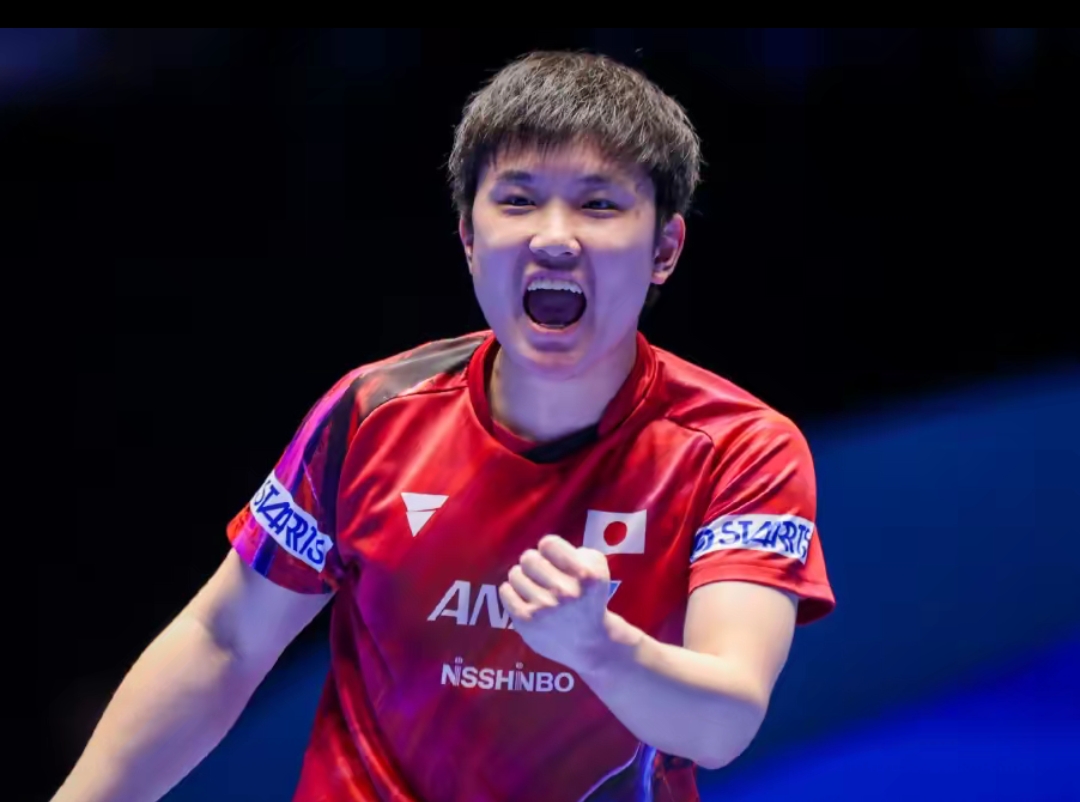 营与竞技双 营与竞技双